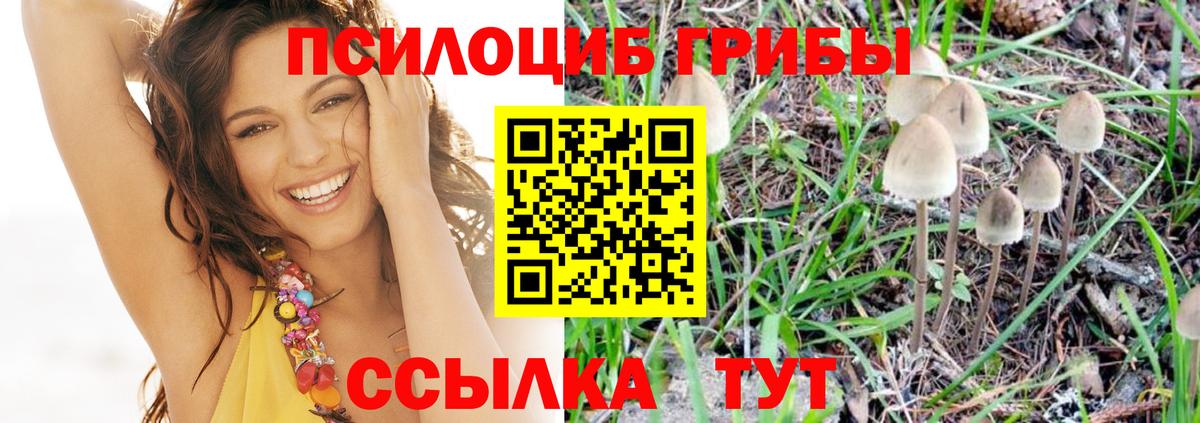 где найти наркотики  Галлюциногенные грибы прущие грибы  Вход с VPN  Благовещенск 